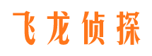 清河市侦探调查公司